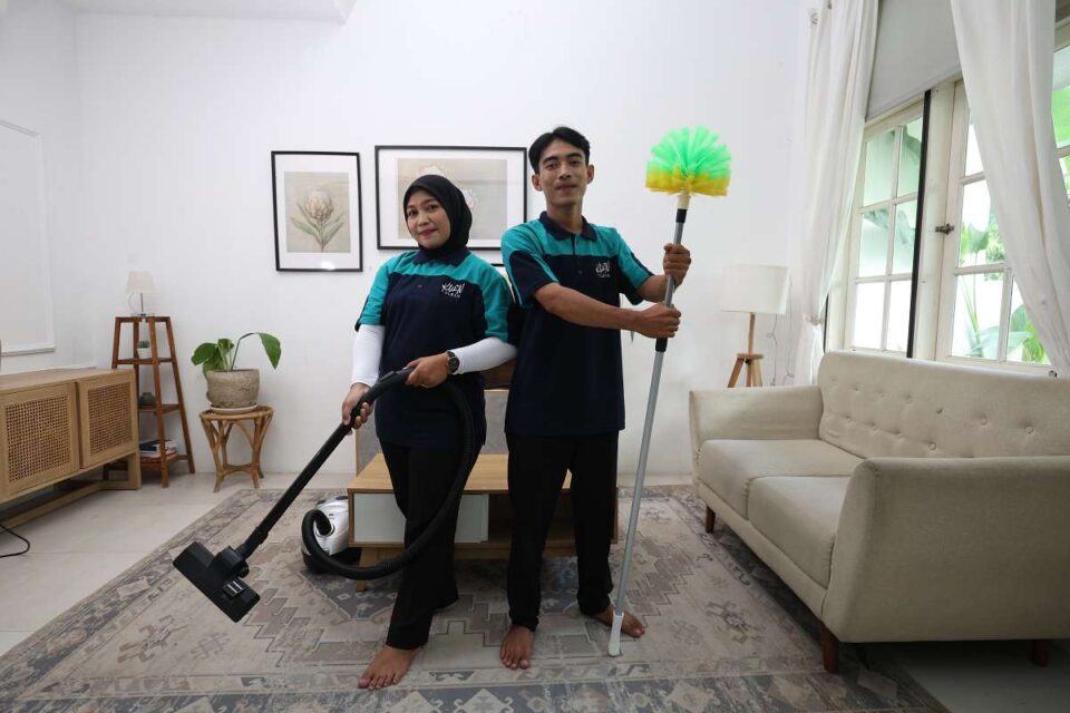 cleaner profesional